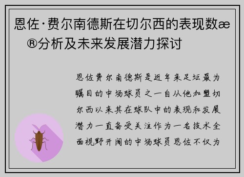 恩佐·费尔南德斯在切尔西的表现数据分析及未来发展潜力探讨