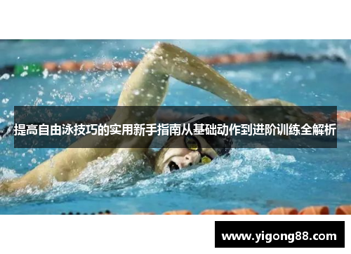 提高自由泳技巧的实用新手指南从基础动作到进阶训练全解析
