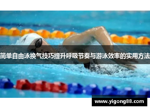 简单自由泳换气技巧提升呼吸节奏与游泳效率的实用方法