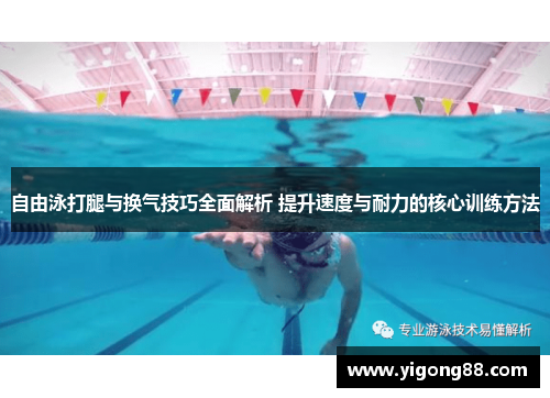 自由泳打腿与换气技巧全面解析 提升速度与耐力的核心训练方法