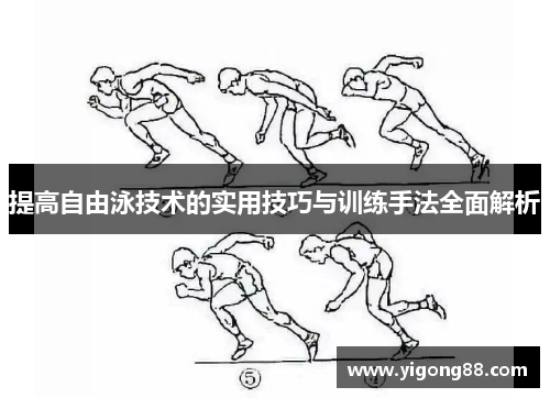提高自由泳技术的实用技巧与训练手法全面解析