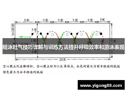 蛙泳吐气技巧详解与训练方法提升呼吸效率和游泳表现