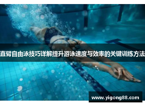 直臂自由泳技巧详解提升游泳速度与效率的关键训练方法
